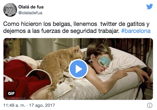 Imágenes de gatitos en Twitter en agosto de 2017.